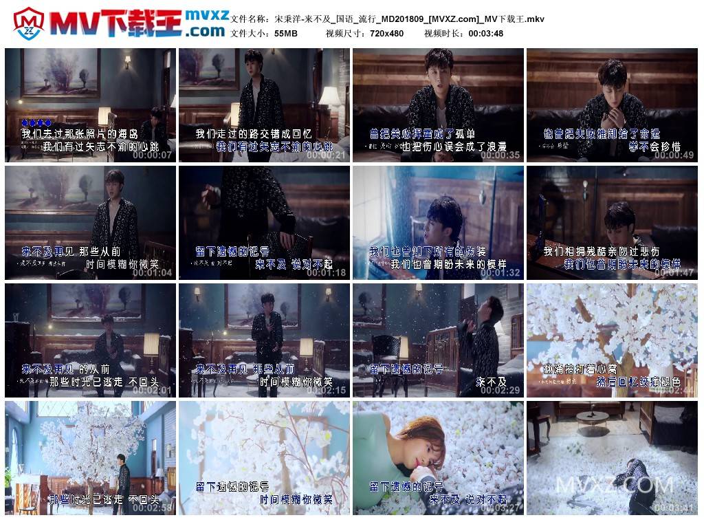 宋秉洋-来不及_国语_流行_MD201809